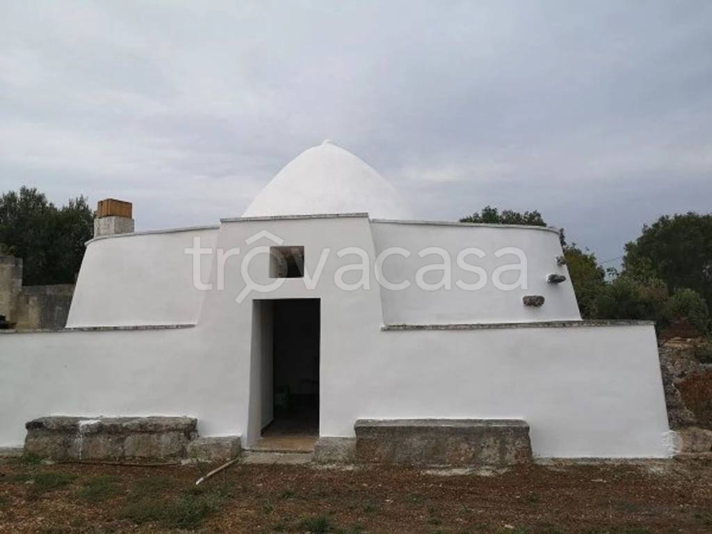 terreno agricolo in vendita a San Vito dei Normanni