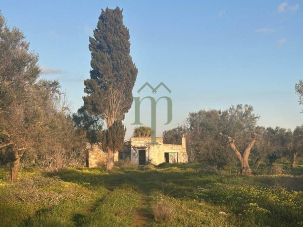 casa indipendente in vendita a San Vito dei Normanni