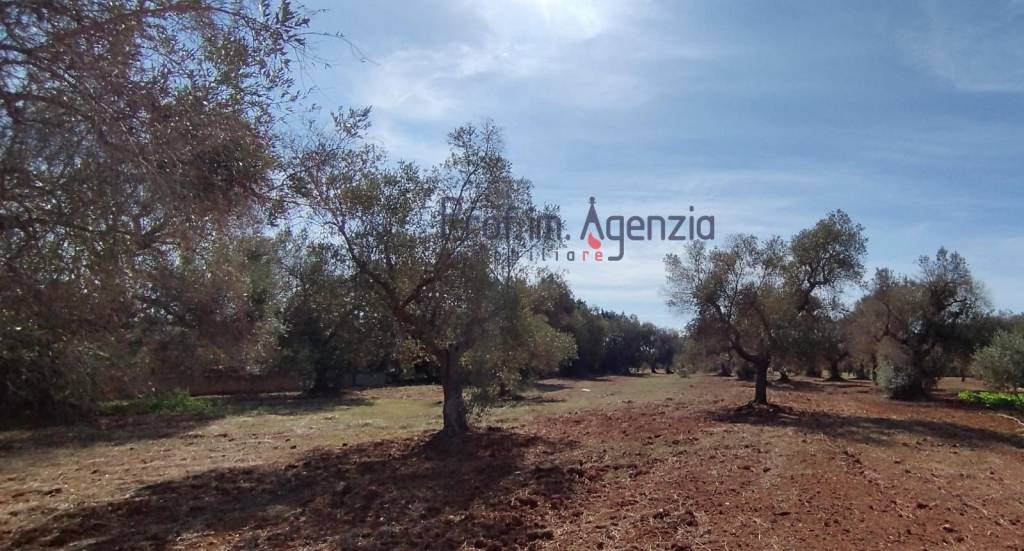 casa indipendente in vendita a San Vito dei Normanni