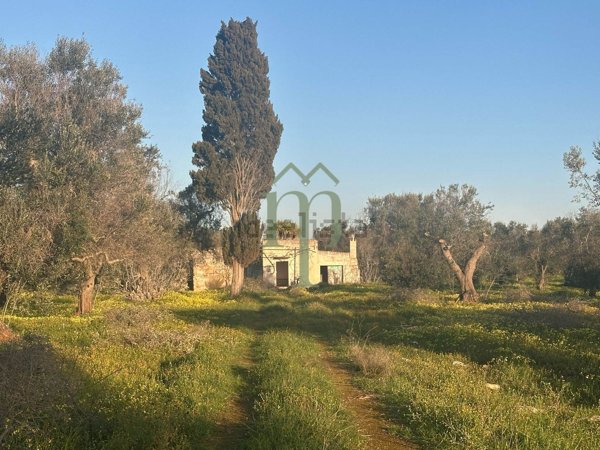 appartamento in vendita a San Vito dei Normanni