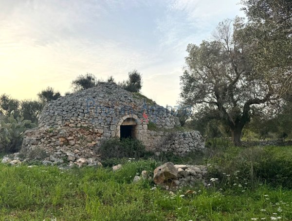 appartamento in vendita a San Vito dei Normanni
