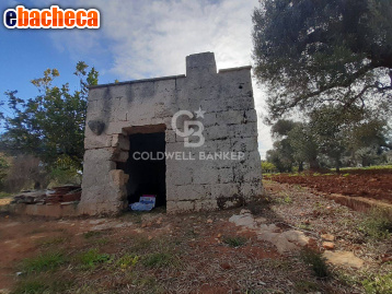terreno agricolo in vendita a San Vito dei Normanni