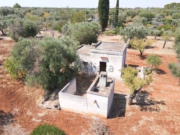 terreno agricolo in vendita a San Vito dei Normanni