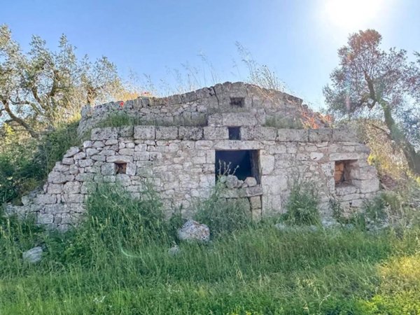terreno agricolo in vendita a San Vito dei Normanni