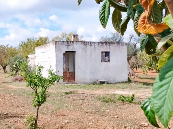 casa indipendente in vendita a San Vito dei Normanni