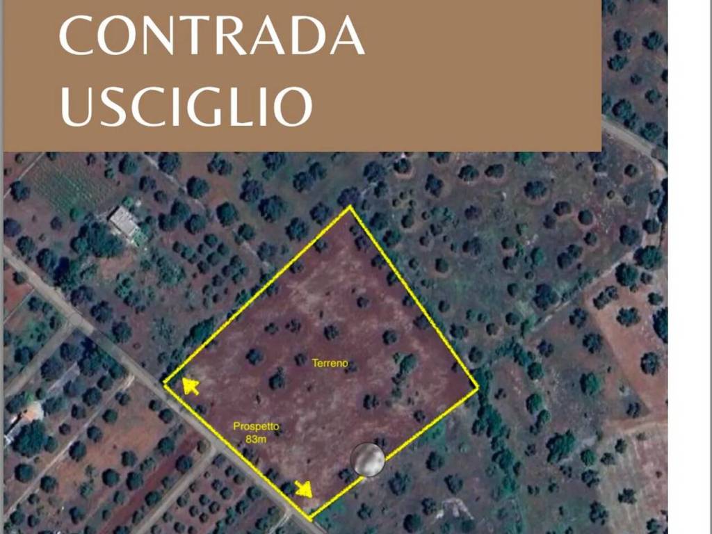 casa indipendente in vendita a San Vito dei Normanni