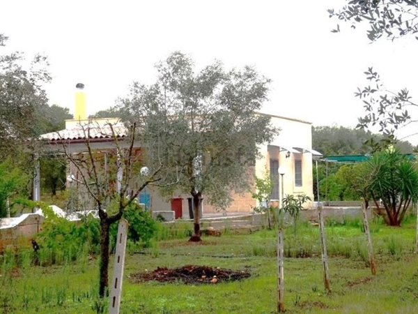 pentavano in vendita a San Vito dei Normanni