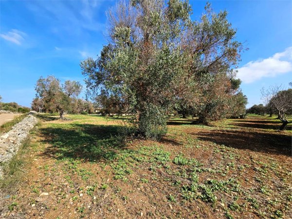 casa indipendente in vendita a San Vito dei Normanni