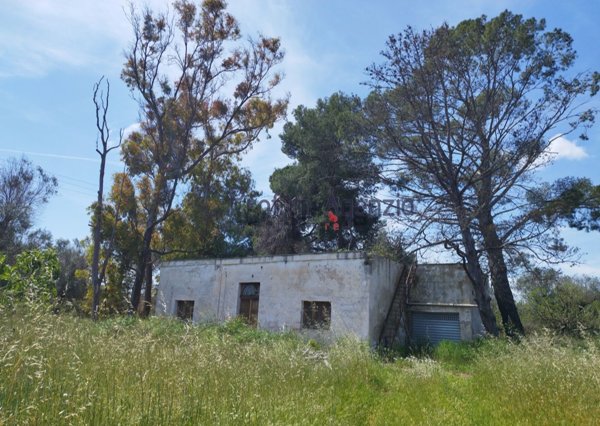 pentavano in vendita a San Vito dei Normanni