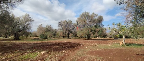 casa indipendente in vendita a San Vito dei Normanni
