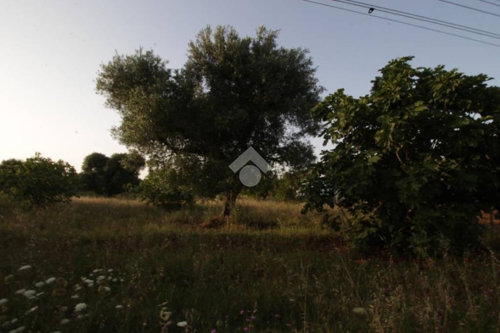 casa indipendente in vendita a San Vito dei Normanni