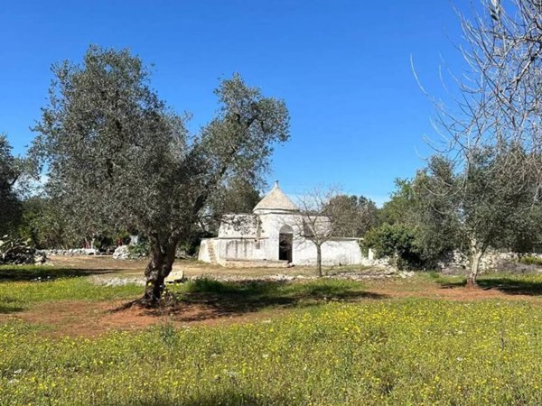 casa indipendente in vendita a San Vito dei Normanni