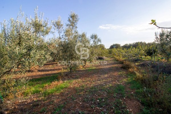 terreno agricolo in vendita a San Vito dei Normanni in zona San Giacomo