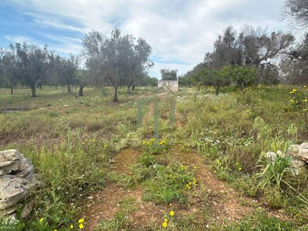 terreno agricolo in vendita a San Vito dei Normanni