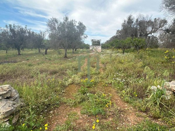 casa indipendente in vendita a San Vito dei Normanni