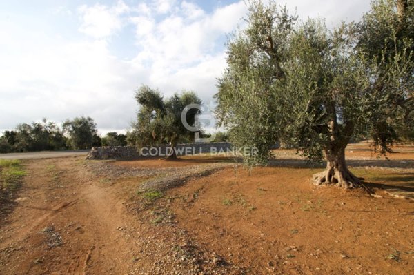 terreno agricolo in vendita a San Vito dei Normanni in zona San Giacomo