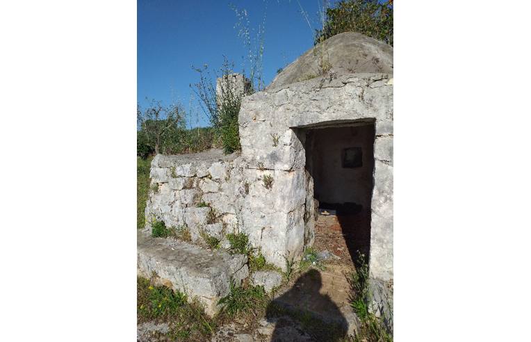 terreno agricolo in vendita a San Vito dei Normanni