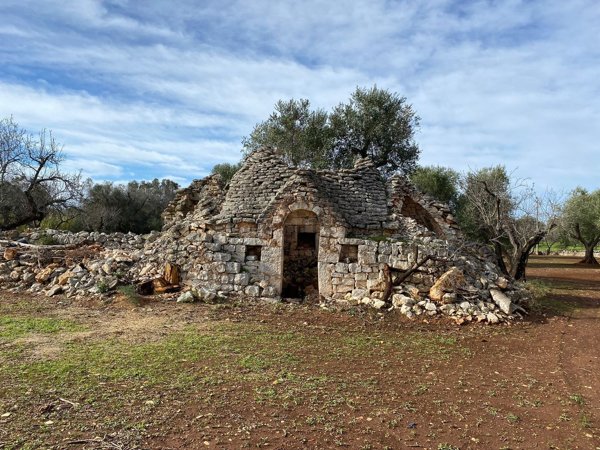 esavano in vendita a San Vito dei Normanni