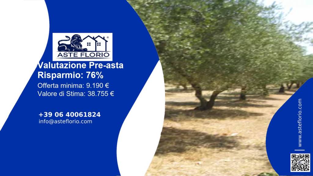 terreno agricolo in vendita a San Vito dei Normanni