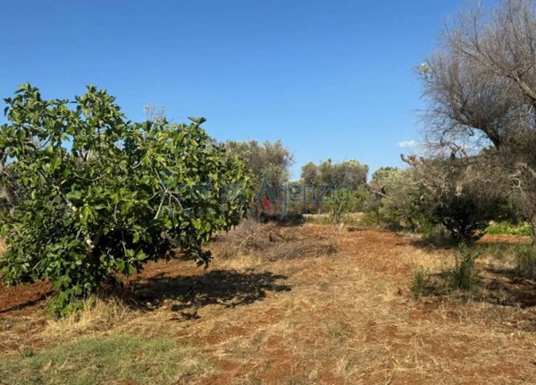 casa indipendente in vendita a San Vito dei Normanni