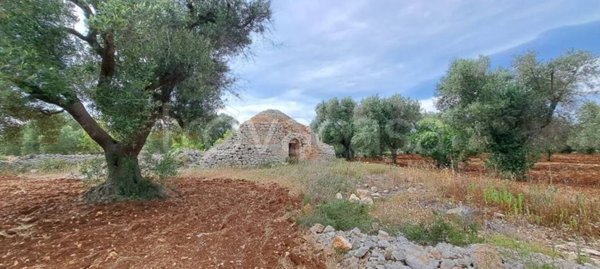 casa indipendente in vendita a San Vito dei Normanni