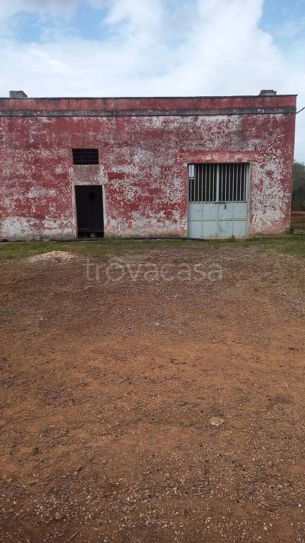 casa indipendente in vendita a San Vito dei Normanni