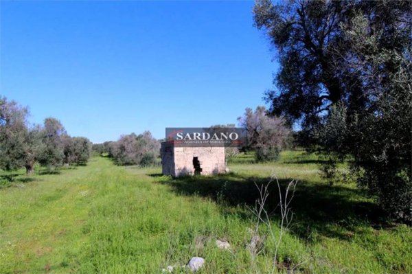 casa indipendente in vendita a San Vito dei Normanni