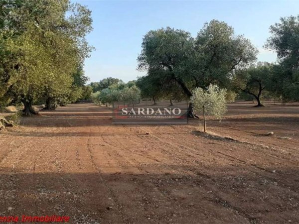 terreno agricolo in vendita a San Vito dei Normanni