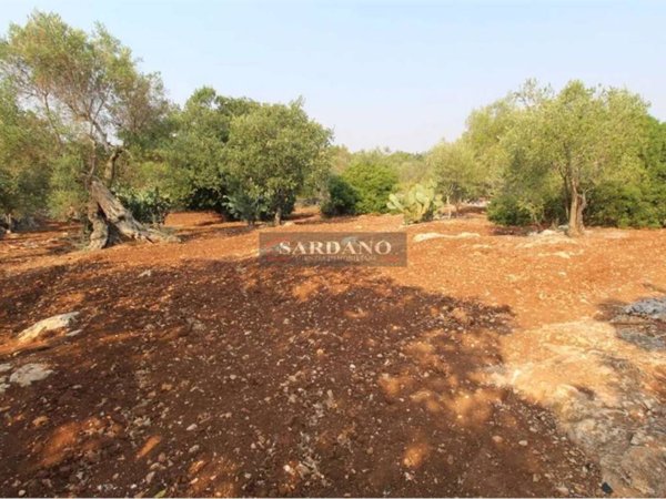 terreno agricolo in vendita a San Vito dei Normanni