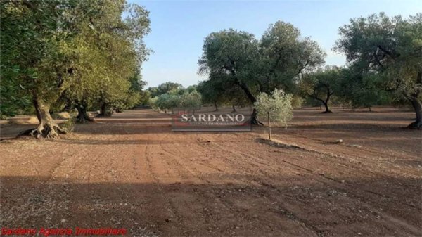 terreno agricolo in vendita a San Vito dei Normanni