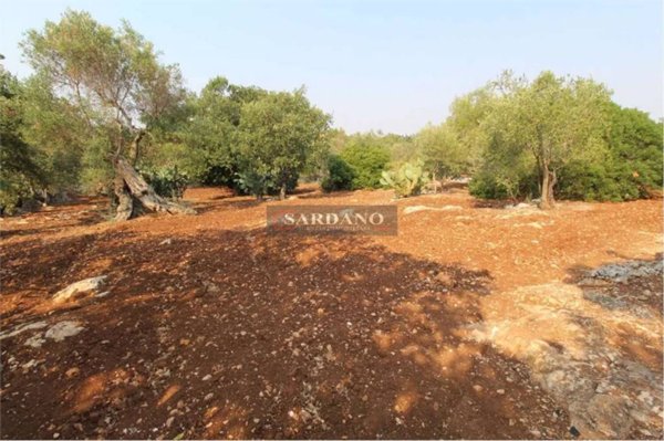 terreno agricolo in vendita a San Vito dei Normanni