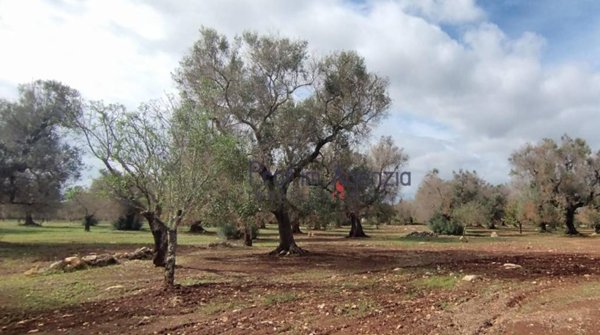 casa indipendente in vendita a San Vito dei Normanni