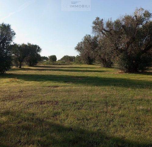 casa indipendente in vendita a San Vito dei Normanni