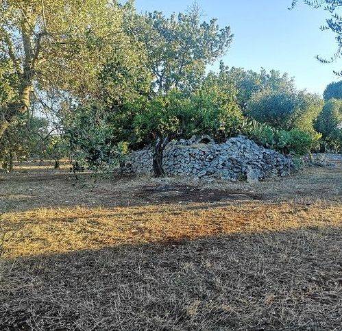 terreno agricolo in vendita a San Vito dei Normanni