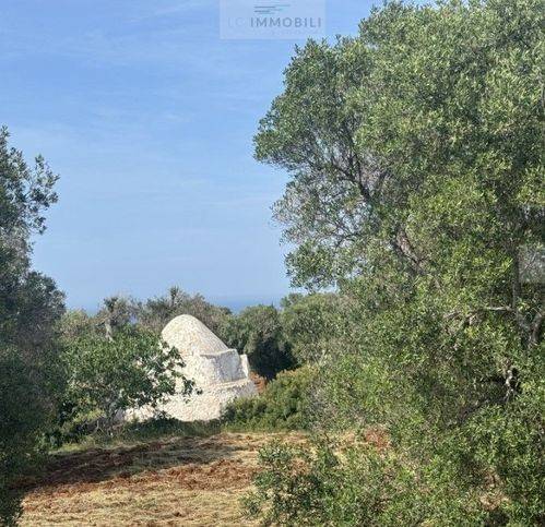 terreno agricolo in vendita a San Vito dei Normanni
