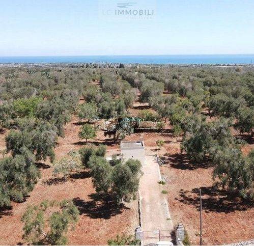 terreno agricolo in vendita a San Vito dei Normanni