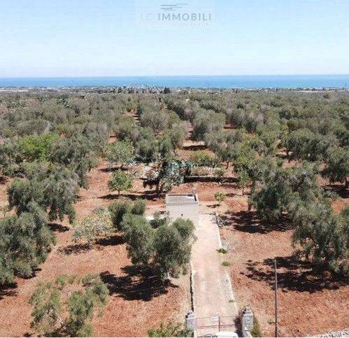 terreno agricolo in vendita a San Vito dei Normanni