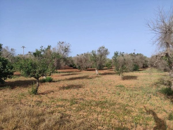 appartamento in vendita a San Vito dei Normanni