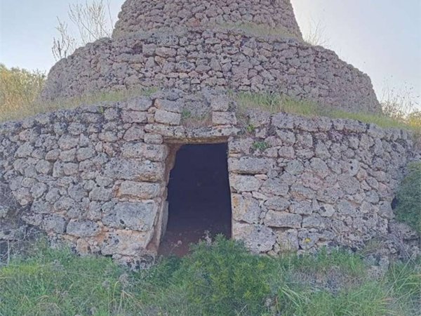 terreno agricolo in vendita a San Vito dei Normanni