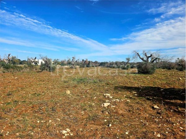 casa indipendente in vendita a San Vito dei Normanni