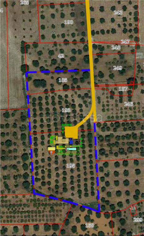terreno agricolo in vendita a San Vito dei Normanni