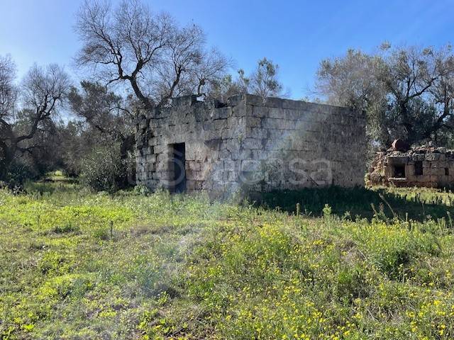 appartamento in vendita a San Vito dei Normanni