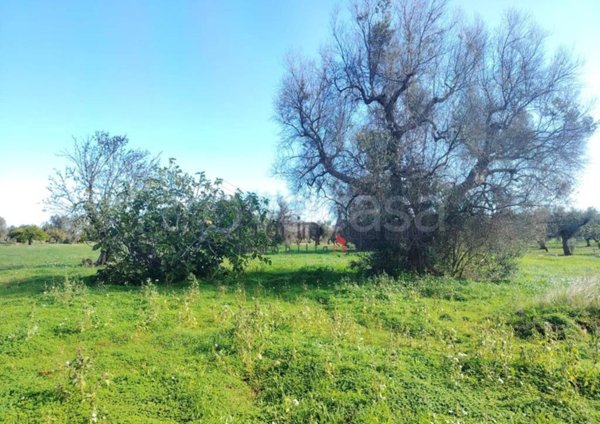 casa indipendente in vendita a San Vito dei Normanni