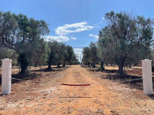 terreno in vendita a San Vito dei Normanni in zona Poggioreale