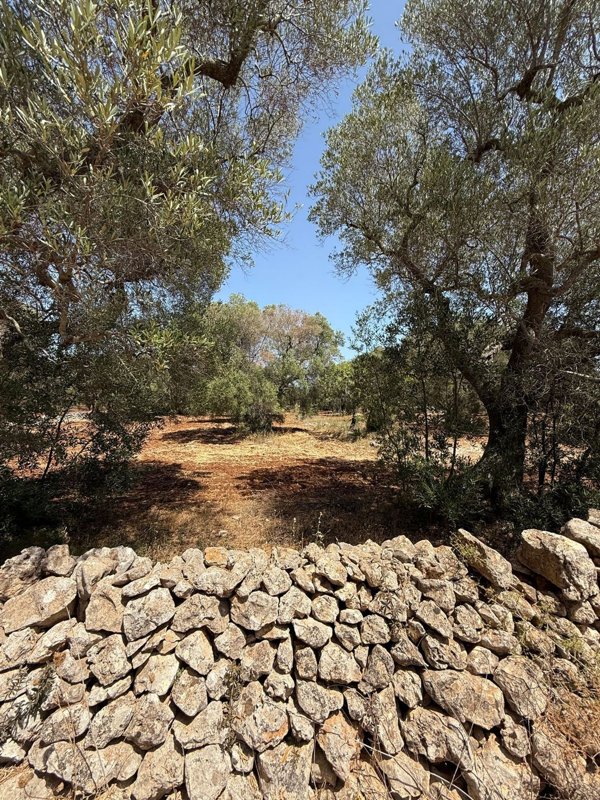 appartamento in vendita a San Vito dei Normanni