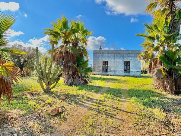 esavano in vendita a San Vito dei Normanni