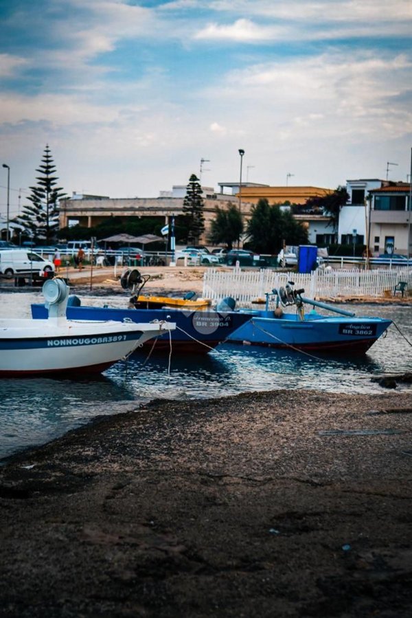 terreno agricolo in vendita a San Vito dei Normanni