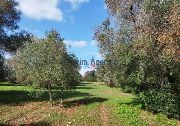 casa indipendente in vendita a San Vito dei Normanni
