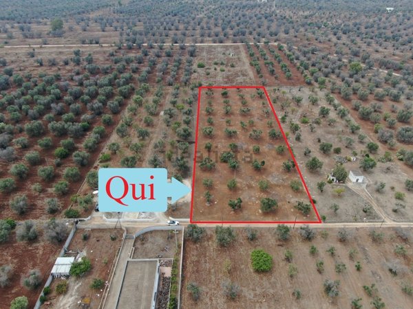 casa indipendente in vendita a San Vito dei Normanni