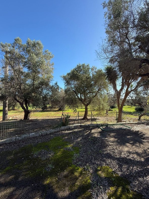 appartamento in vendita a San Vito dei Normanni